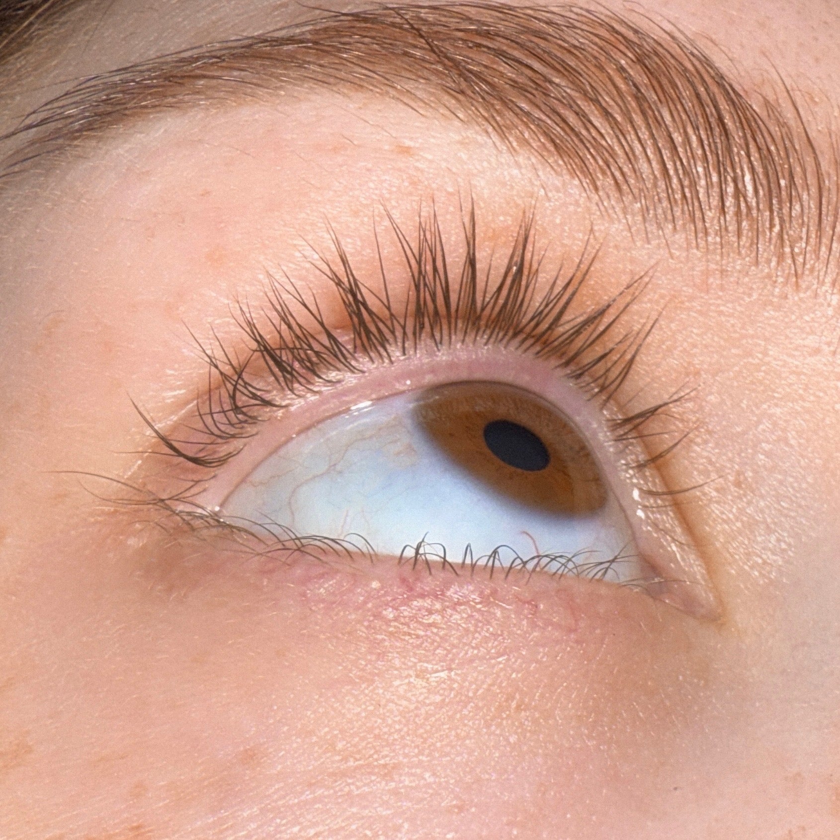 Maddi Morris founder of Light Heart Lash amazing lash growth progress using Growth Serum