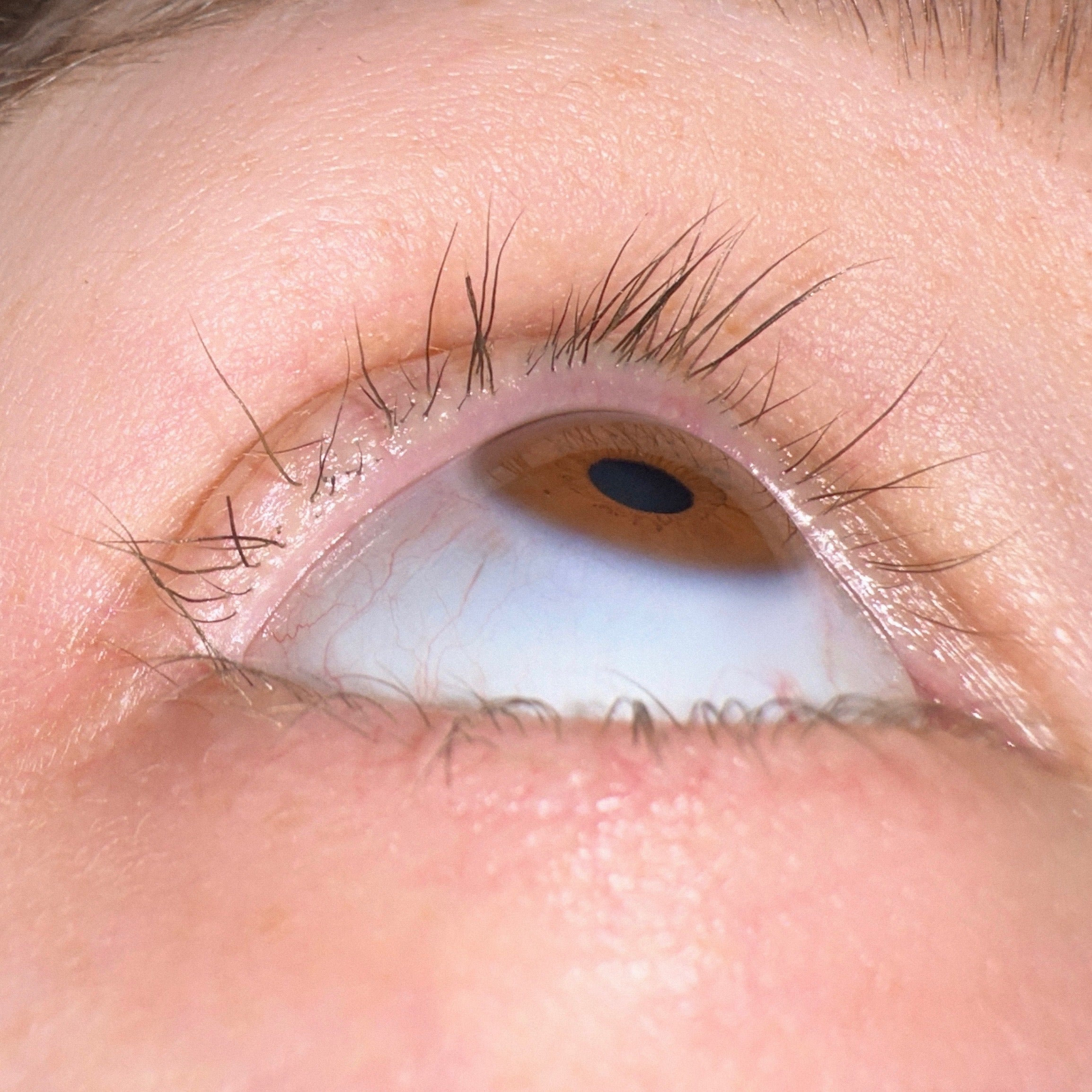 Maddi Morris lash growth progress using Light Heart Lash Growth Serum