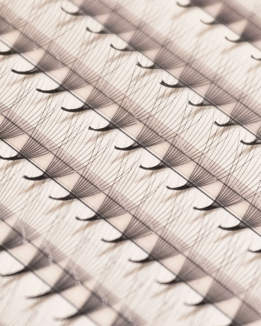 Loose Base Promade 0.03mm Lash Extensions | Light Heart Lash