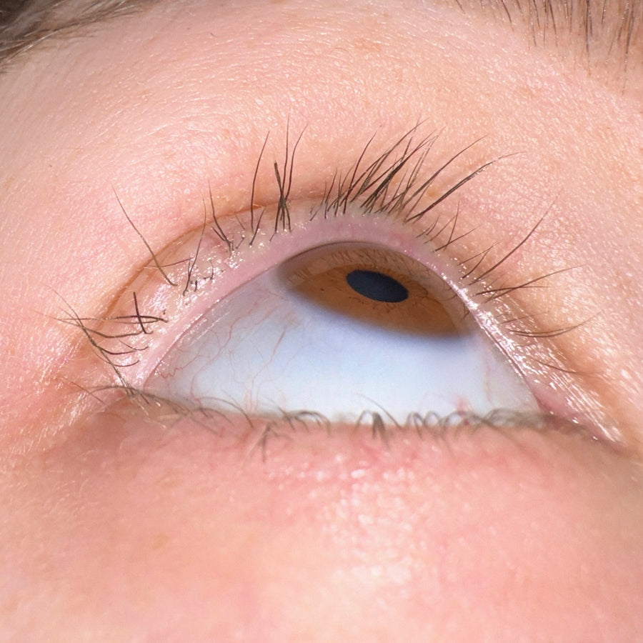 Maddi Morris lash growth progress using Light Heart Lash Growth Serum